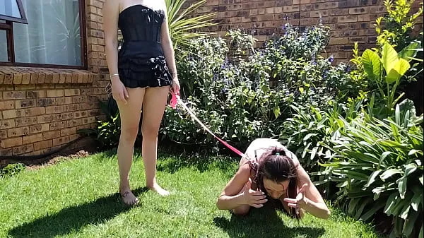 Świeże Girl taking her bitch out for a pee outside | humiliations | piss sniffing nowe filmy